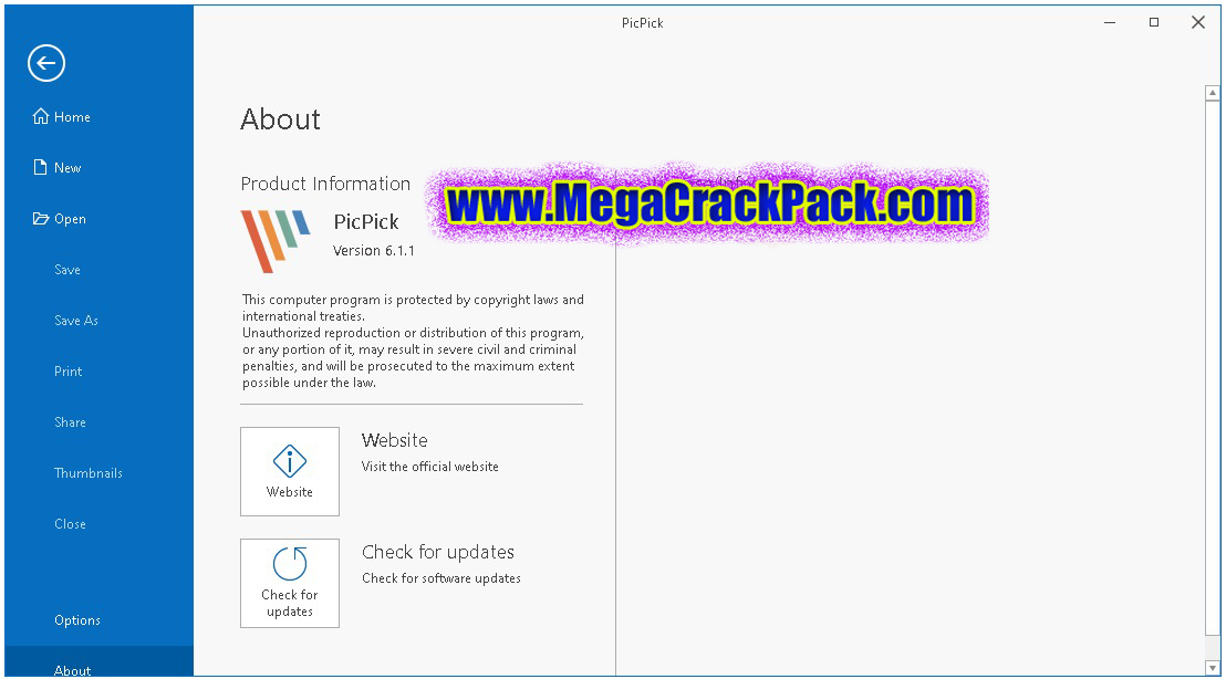 PicPick Professional 6.3.2 Multilingual