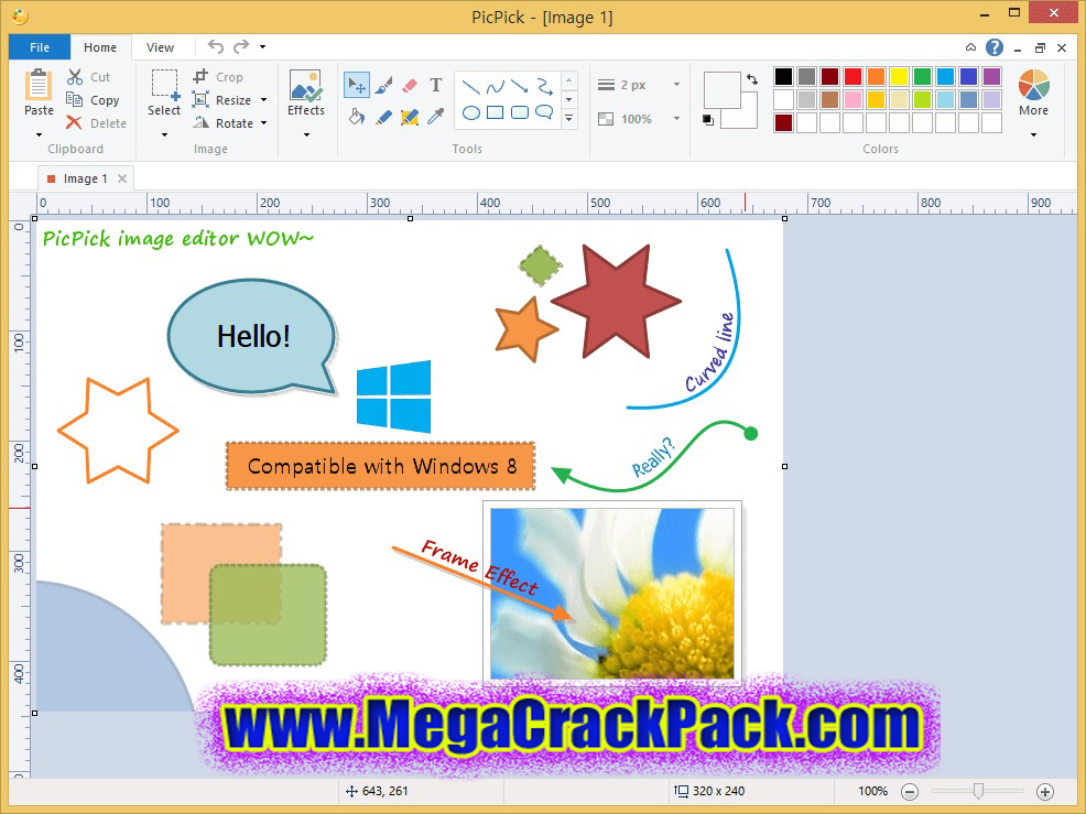 PicPick Professional 6.3.2 Multilingual