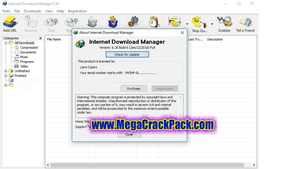 Internet Download Manager (IDM) Version 6.41 Build 3 With Fix