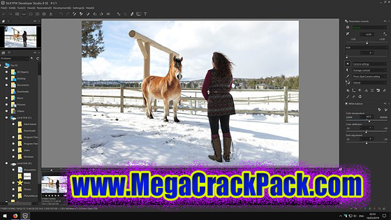 SILKYPIX JPEG Photography 11.2.8.1 Free Download